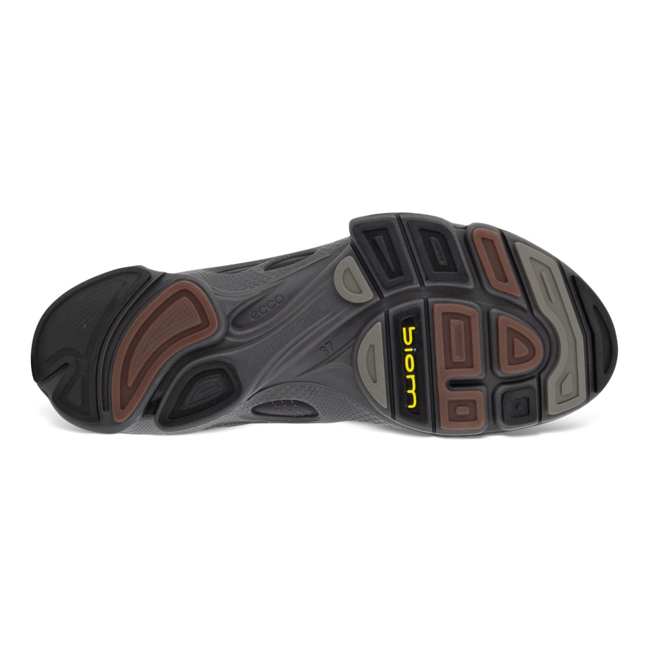 Ecco Norge Biom C 2.1 Dame Svart-svart