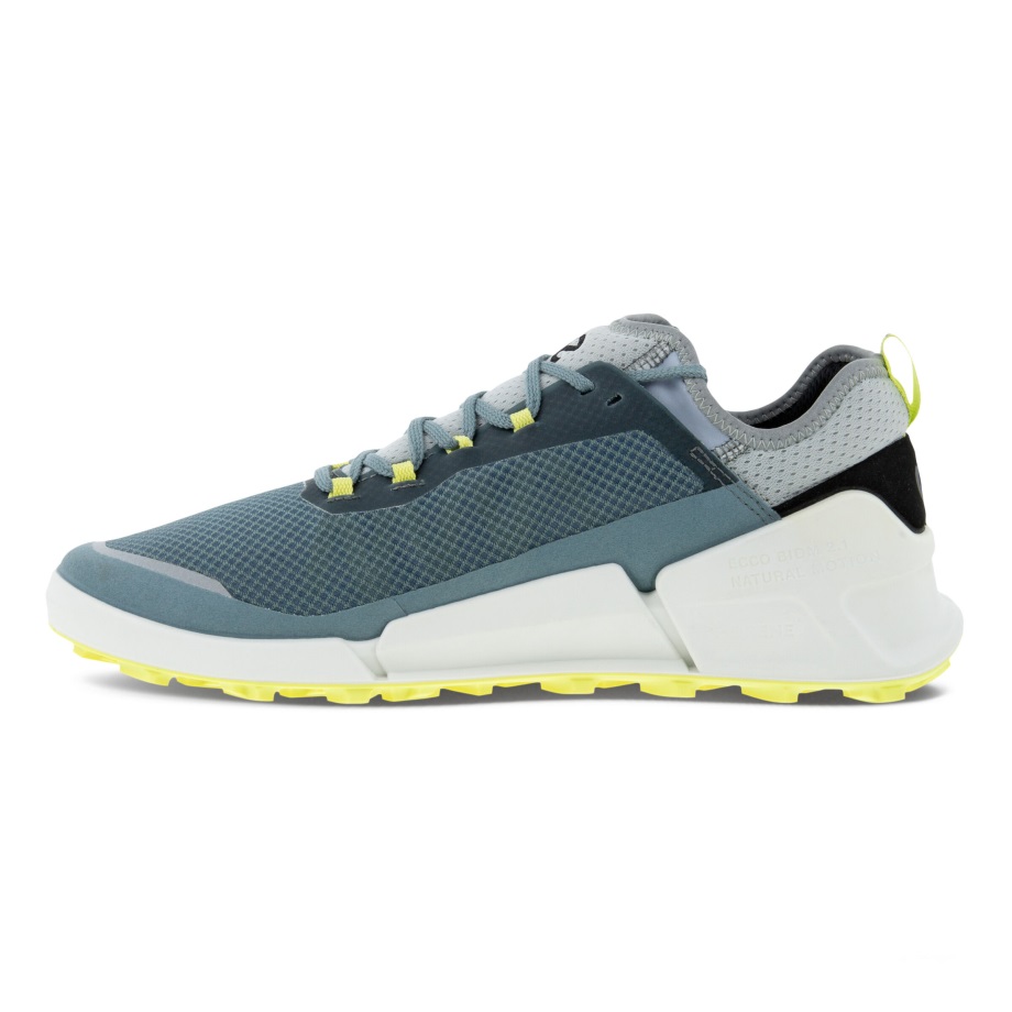 Ecco Norway Biom 2.1 X Country Herre Trooper-trooper-svart