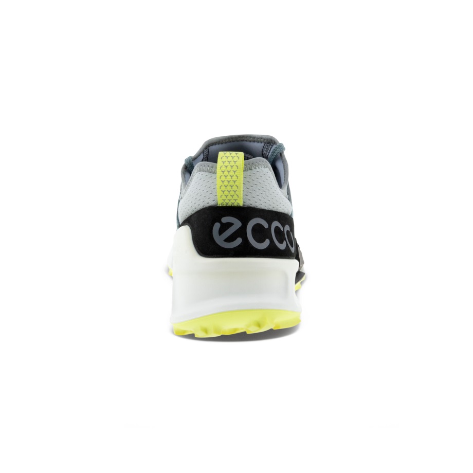 Ecco Norway Biom 2.1 X Country Herre Trooper-trooper-svart