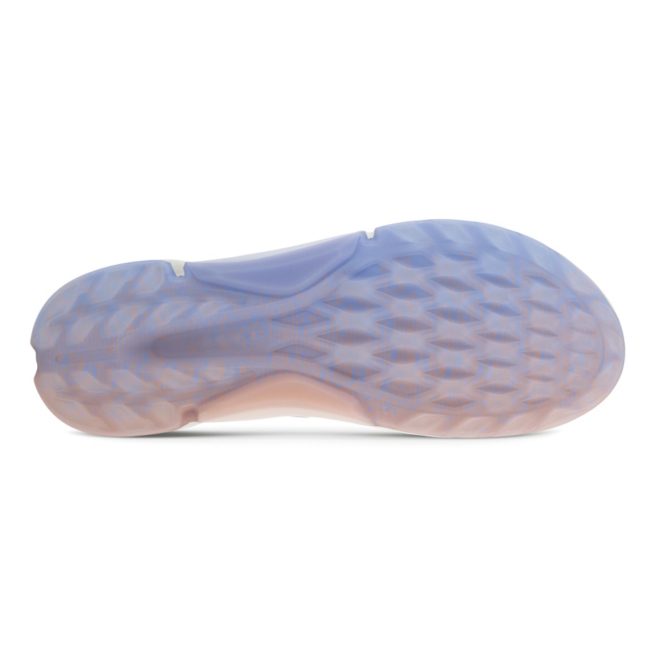 Ecco Norway Golf Biom H4 Gore-Tex Dører Misty-Eventide