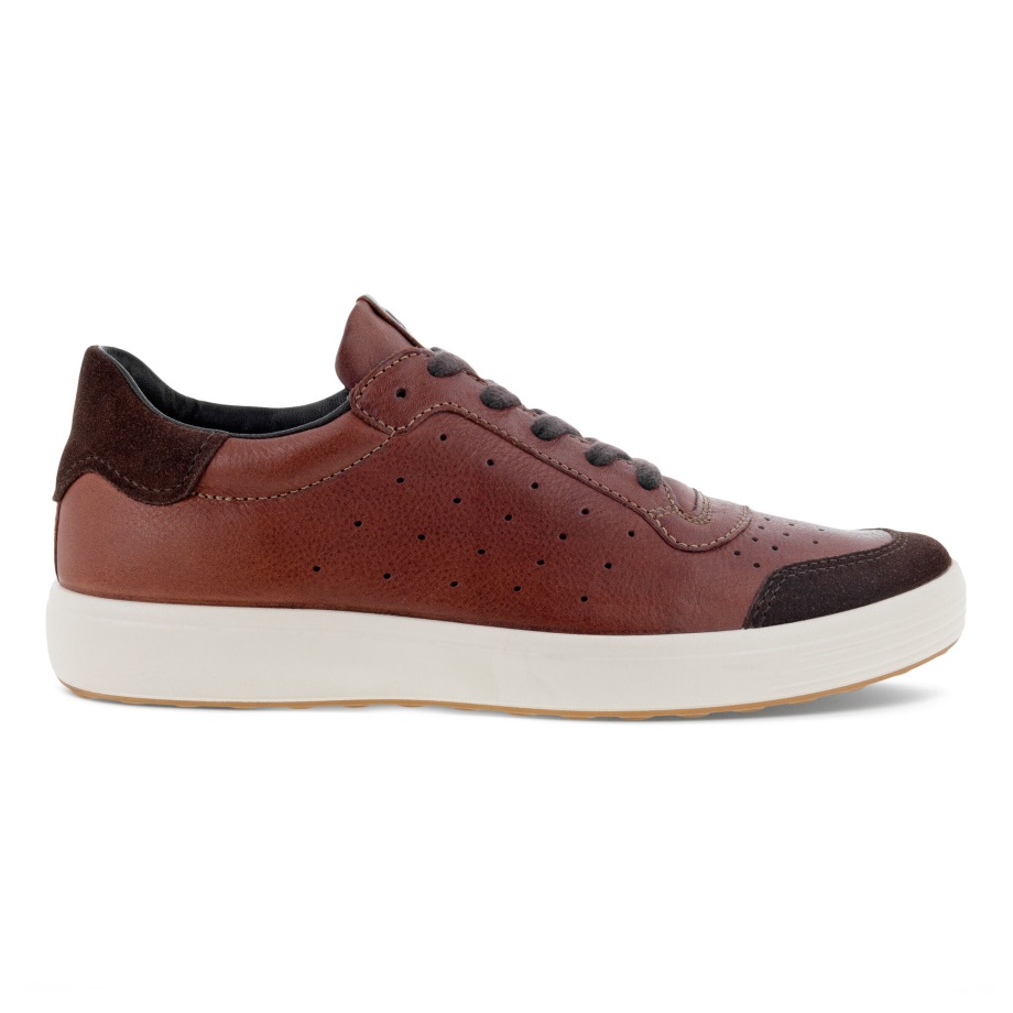 Ecco Norway Soft 7 Sneaker Herre Kaffe-whisky
