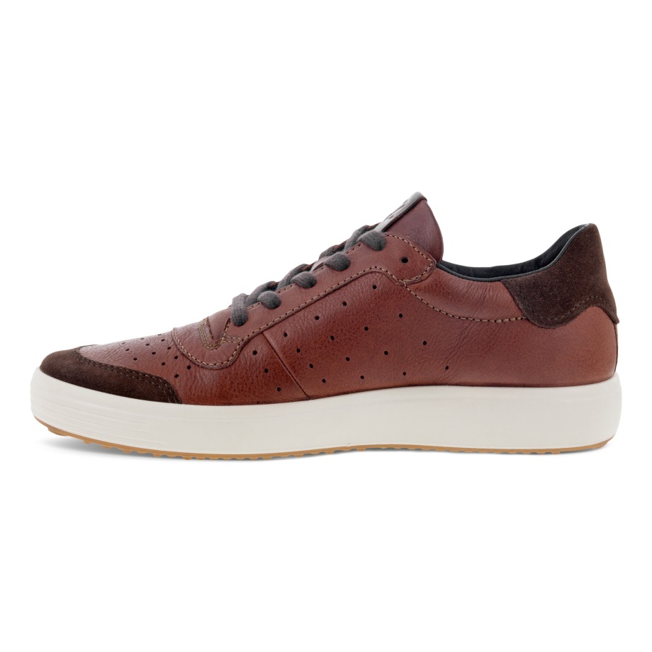 Ecco Norway Soft 7 Sneaker Herre Kaffe-whisky