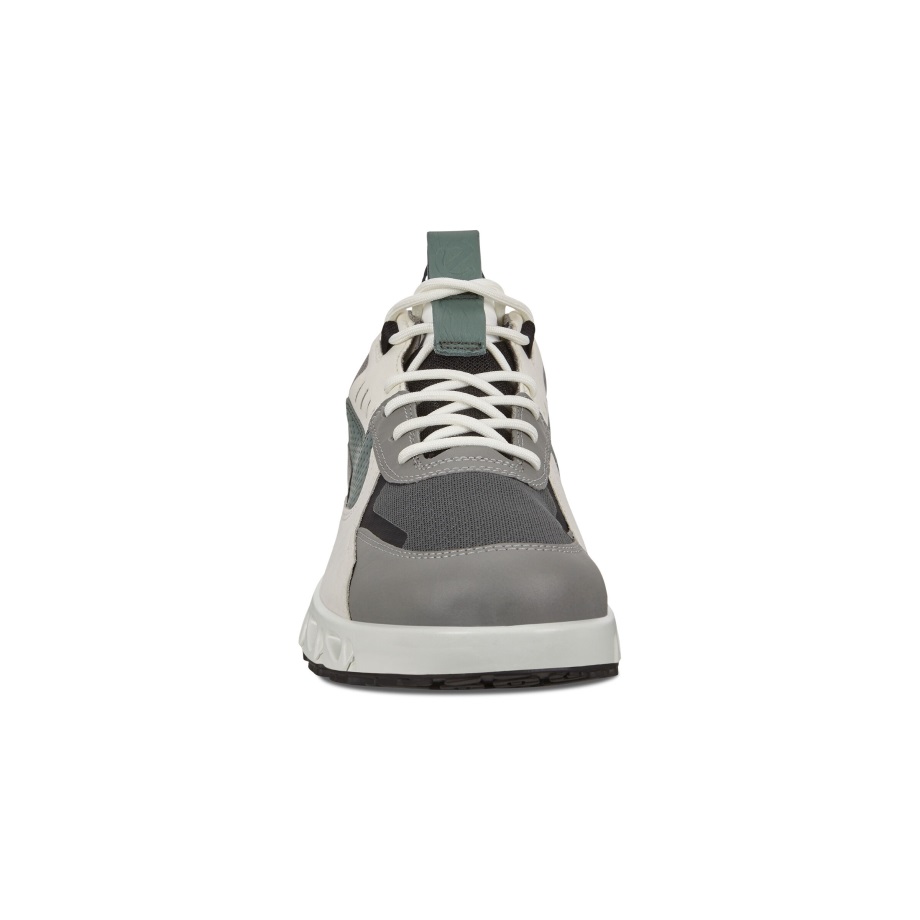 Ecco Norway Multi-vent Multicolour Utendørs Sneaker Gtx Herre Multicolor Wild Dove