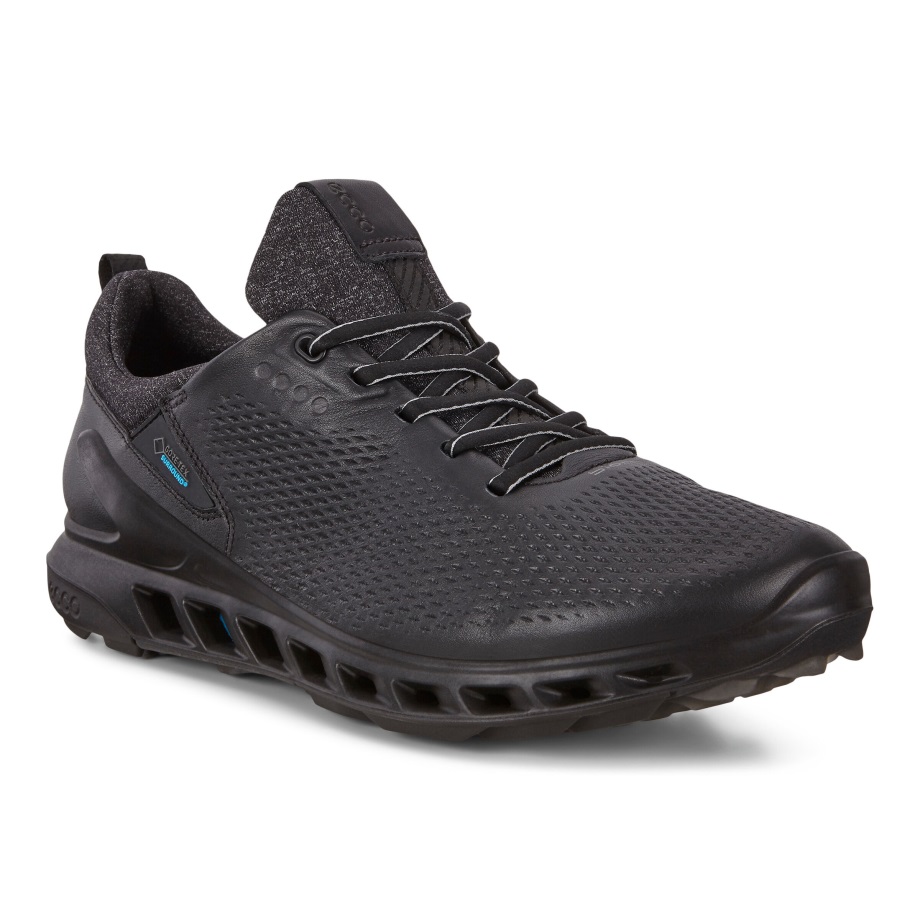Ecco Norge Golf Biom Cool Pro Gtx Svart