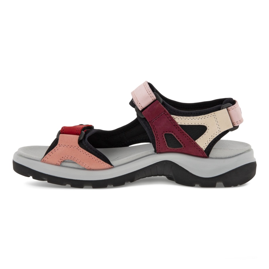 Ecco Norge Offroad Flat Sandal Kvinners Multicolor Chili Rød