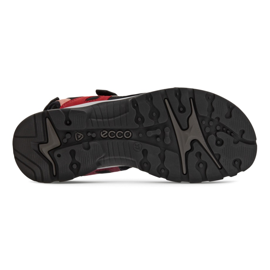 Ecco Norge Offroad Flat Sandal Kvinners Multicolor Chili Rød