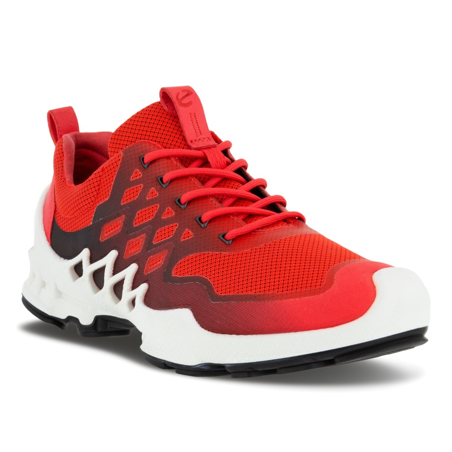 Ecco Norway Biom Aex Lav Tofarget Sko Dame Hibiskus-svart