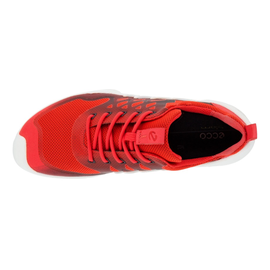 Ecco Norway Biom Aex Lav Tofarget Sko Dame Hibiskus-svart