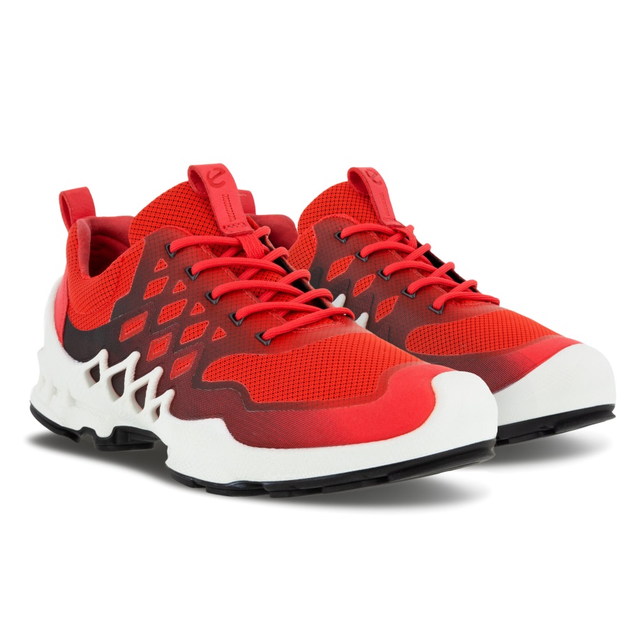 Ecco Norway Biom Aex Lav Tofarget Sko Dame Hibiskus-svart